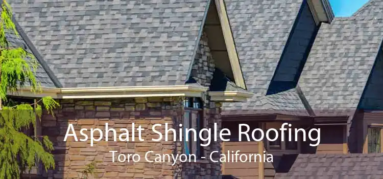 Asphalt Shingle Roofing Toro Canyon - California