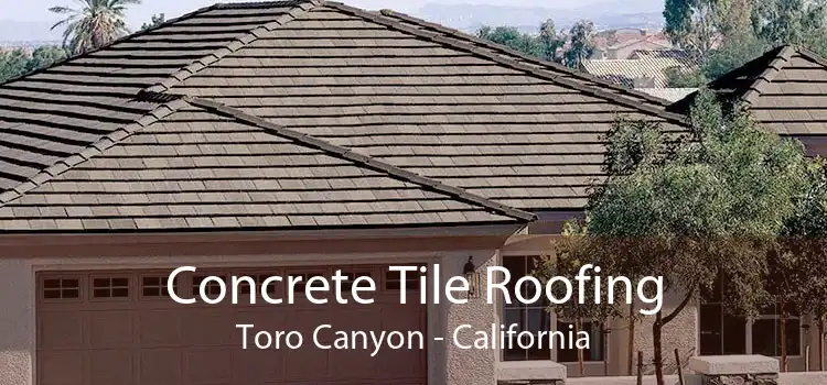 Concrete Tile Roofing Toro Canyon - California