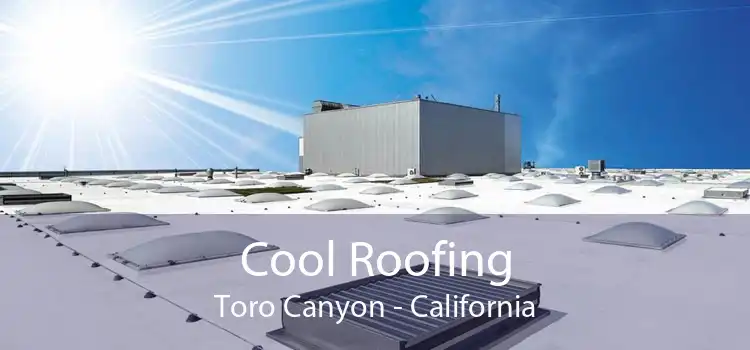 Cool Roofing Toro Canyon - California