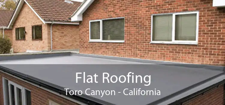 Flat Roofing Toro Canyon - California