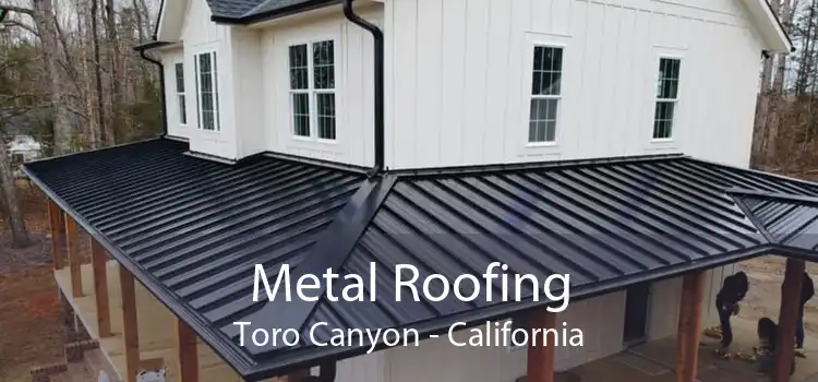 Metal Roofing Toro Canyon - California