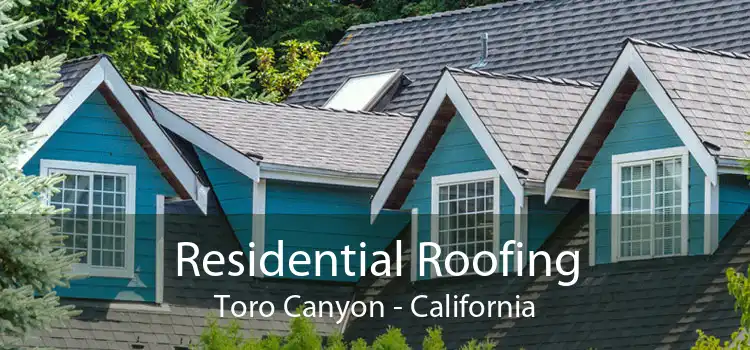 Residential Roofing Toro Canyon - California