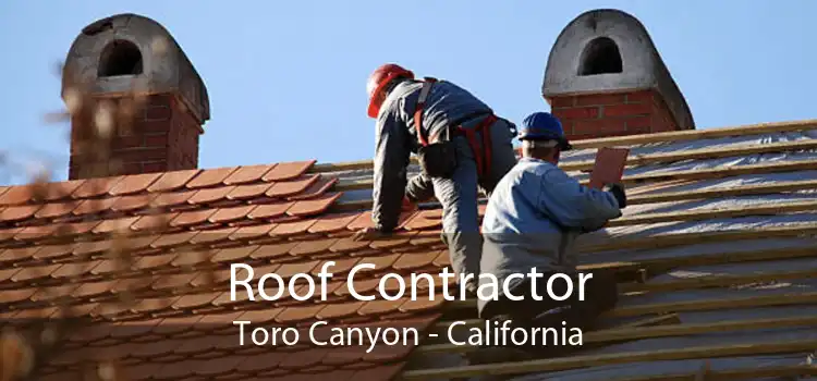 Roof Contractor Toro Canyon - California