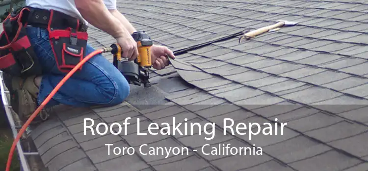 Roof Leaking Repair Toro Canyon - California