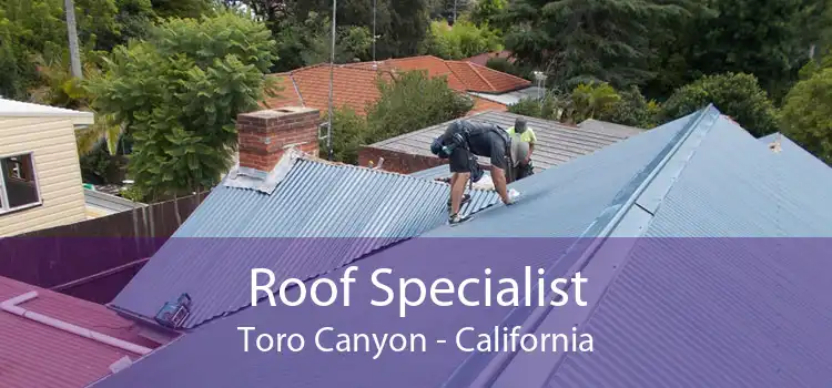 Roof Specialist Toro Canyon - California