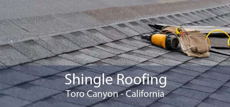 Shingle Roofing Toro Canyon - California