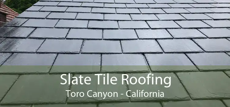 Slate Tile Roofing Toro Canyon - California