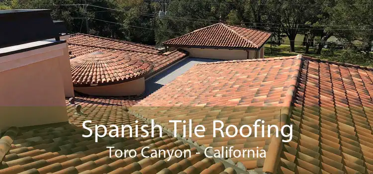 Spanish Tile Roofing Toro Canyon - California