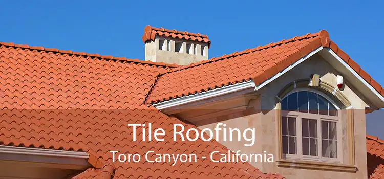 Tile Roofing Toro Canyon - California