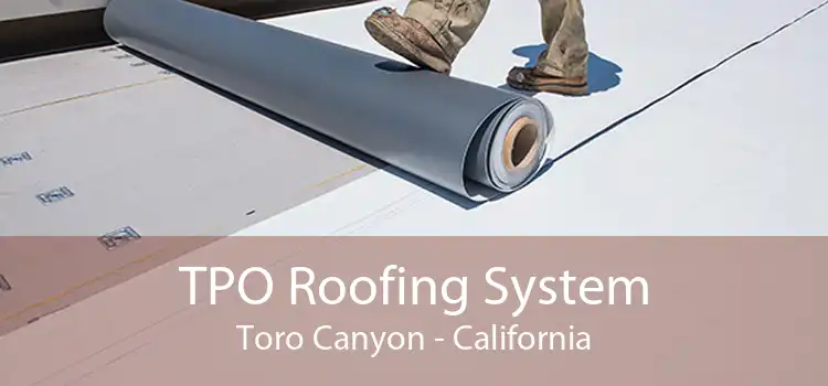 TPO Roofing System Toro Canyon - California