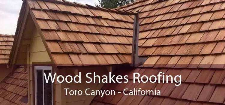 Wood Shakes Roofing Toro Canyon - California